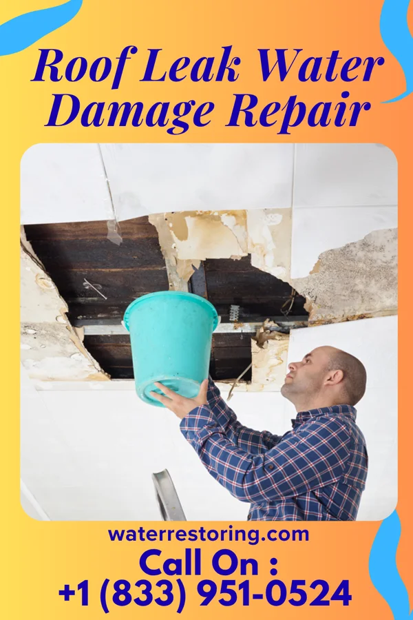 Roof Leak Water Damage Repair in Loveland Park, OH