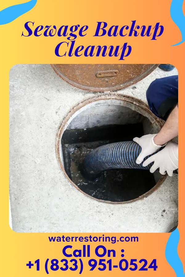 Sewage Backup Cleanup in Loveland Park, OH