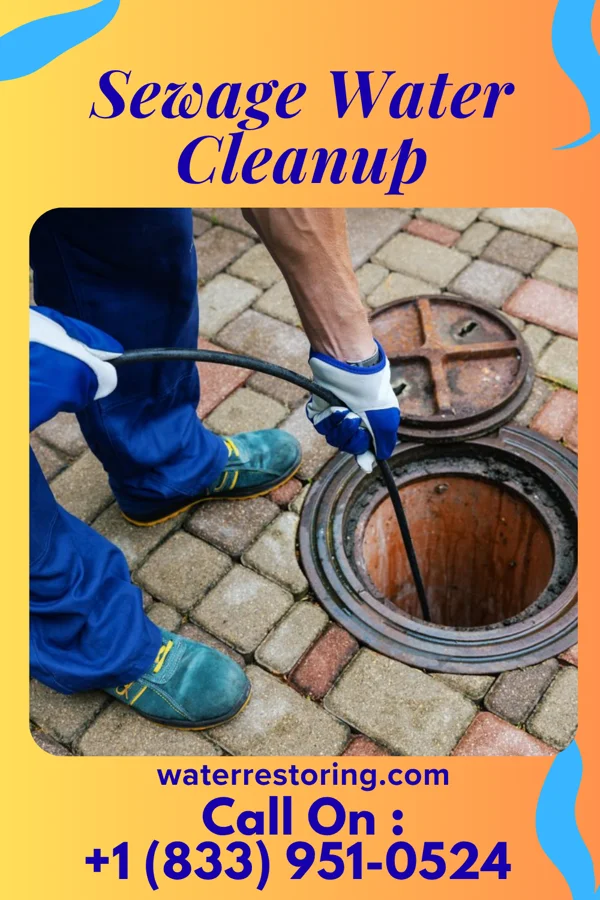 Sewage Water Cleanup in Loveland Park, OH