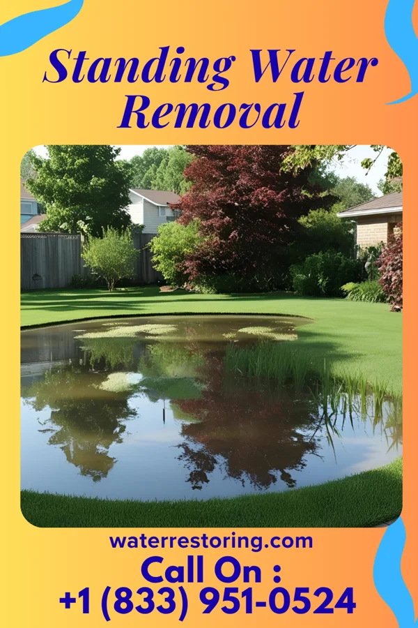 Standing Water Removal in Loveland Park, OH